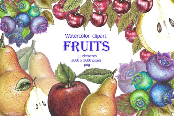 Integrating Fruit Watercolor Clipart PNG Assets into Professional Creative Workflows
