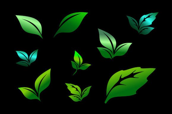 Leaves: Elevating Your Designs with High-Quality Vector Imagery