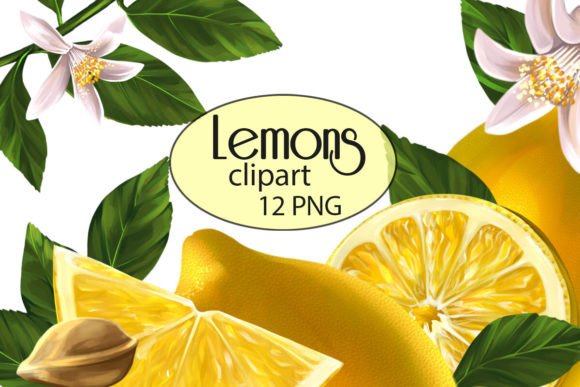 Mastering Lemon Clipart, Fruit Clipart, and Citrus Design Elements for Professional Results
