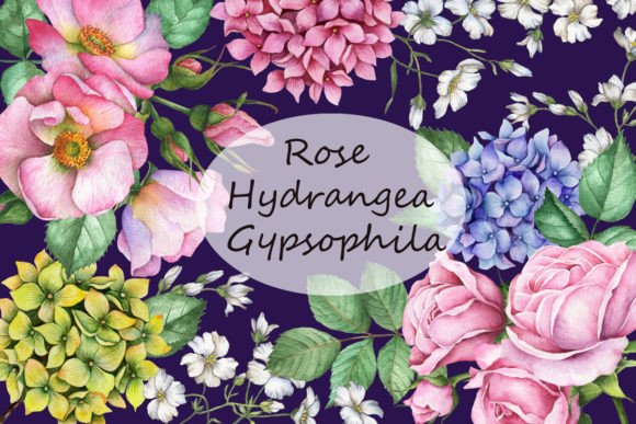 Rose, Hydrangea, Gypsophila Watercolor Art